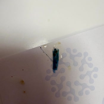 Doğadan Çayında Mavi Plastik Parça Çıktı Gıda Güvenliği Sorunu