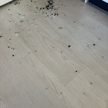 Profilo Fırının Ön Camı Ani Patlaması Güvenlik Endişesi Yaratıyor