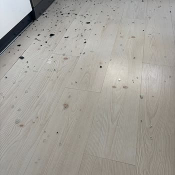 Profilo Fırının Ön Camı Ani Patlaması Güvenlik Endişesi Yaratıyor