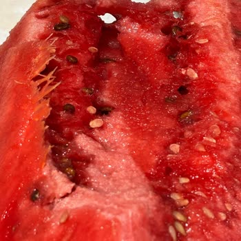 Şok Marketler Çürük Karpuzu Markete Götürmemi İstediler