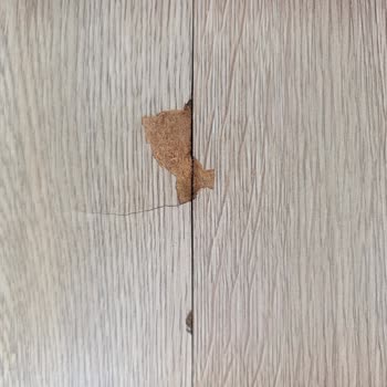 Kapı Deformasyonları, Parke Sorunları Ve Pencere Ayarları İçin Çözüm Bekleyen Müşteri Şikayeti