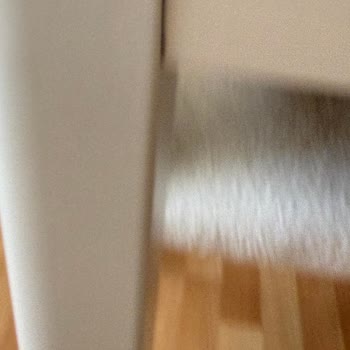 Deforme Mobilya Ve Eksik Parçalar, Mağazanın Sözleşme İhlali Ve Yetersiz Servis