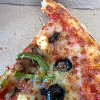 Pizza İçinde Böcek: Hijyen Skandalı
