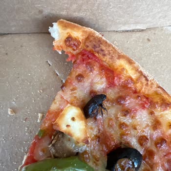 Pizza İçinde Böcek: Hijyen Skandalı