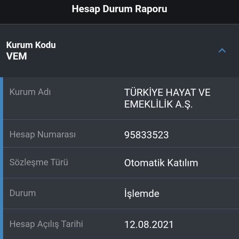 E-Devlet’te Aktif Görünen Bireysel Emeklilik Kaydının Silinmesi Ve Kapatılamaması