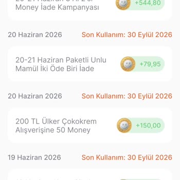 Migros Sanal Market’te Haksız Silinen 150 Money Puanın Yeniden Yüklenmesi Talebi