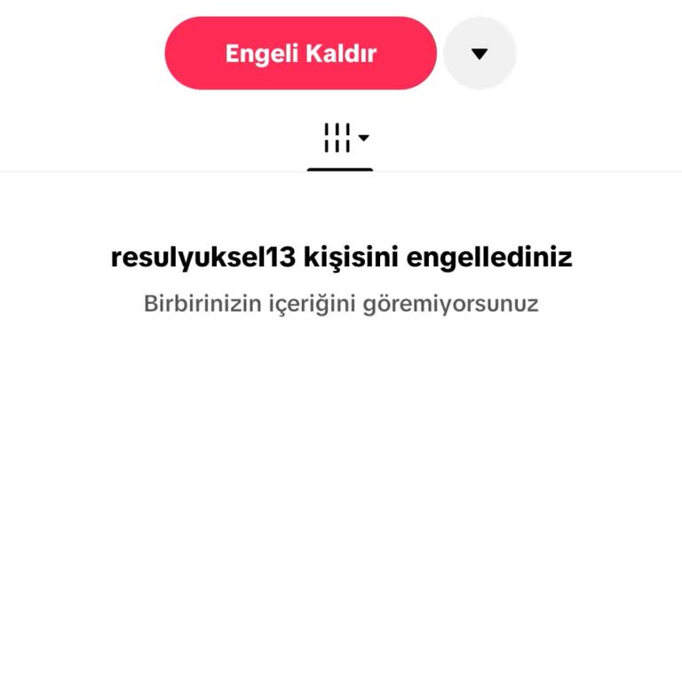 Sahte TikTok Hesabı İsmimi İzinsiz Kullanıyor Ve Kapatılmalı