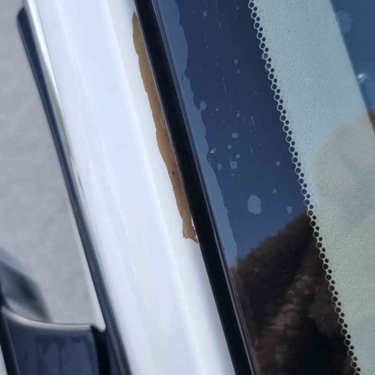 Hayal Kırıklığına Uğratan Honda Boya Garantisi Sorunu