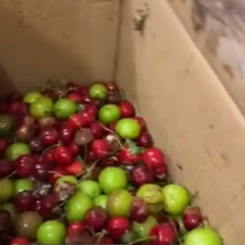 PTT Kargo Cuma Günü Teslimat Dedi Ama Kargo Pazartesi Akşam Geldi