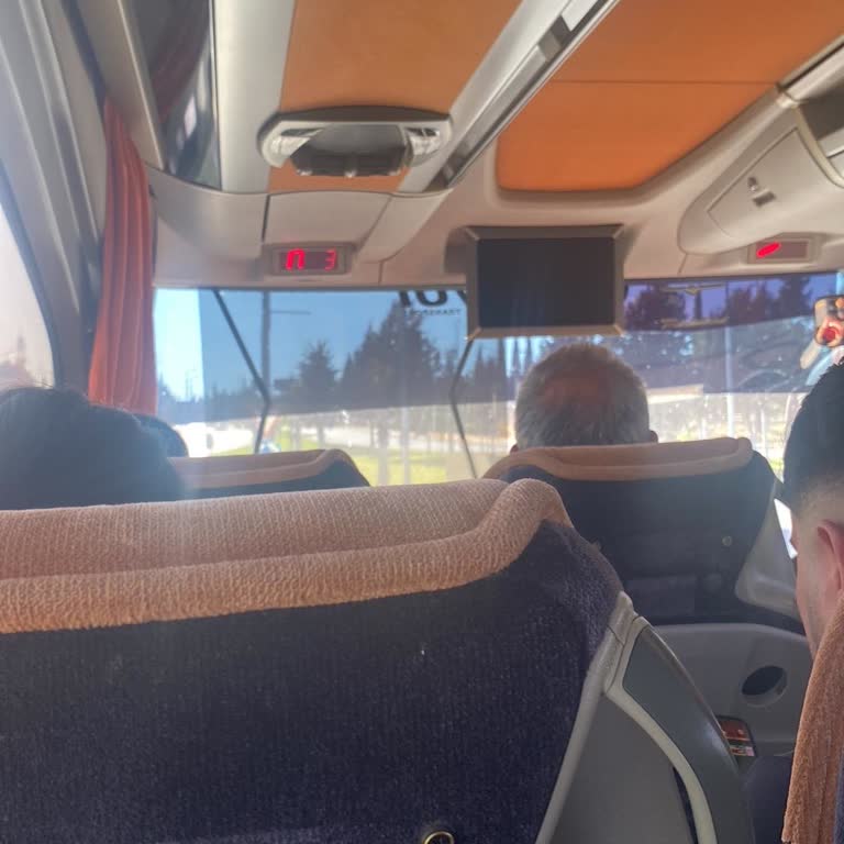 Sunexpress Uçuş Gecikmesi, Yönlendirme Eksikliği Ve Ek Masraflar