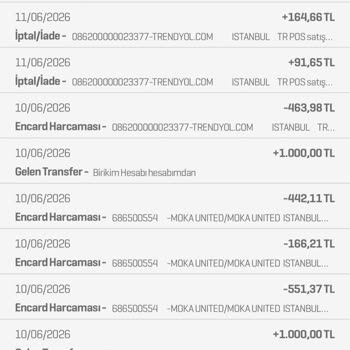 Temu'dan İptal Edilen Sipariş Ücretlerinin Geciken İadesi