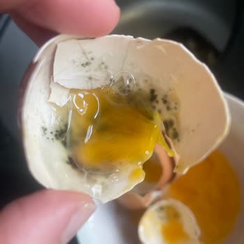 Pure Organic Yumurta Sağlık Endişesi