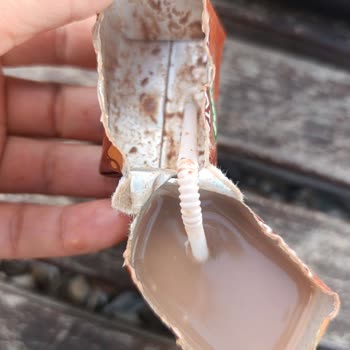 Bozulmuş Kakaolu Süt Ve Çocuk Sağlığına Tehdit: Bayinin Sorumluluk Reddi