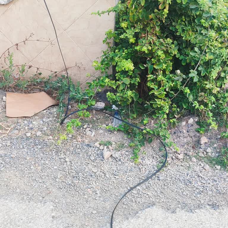 İki Aylık İnternet Kesintisi, Faturalar Kesiliyor Ve Güvenlik Riski Var
