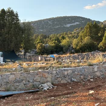 İzinsiz Orman Yerleşimi Ve Hayvan Girişi Nedeniyle Tapulu Arazimizde Hak İhlali