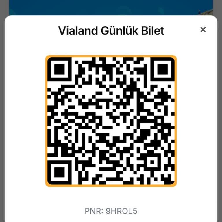 Vialand'de Aşırı Kalabalık Ve Yüksek Ücretler Mağduriyet Yarattı