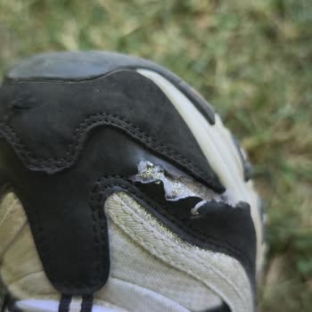 Skechers Ayakkabısının Kısa Sürede Patlaması Ve Mağazanın Değişim Reddetmesi