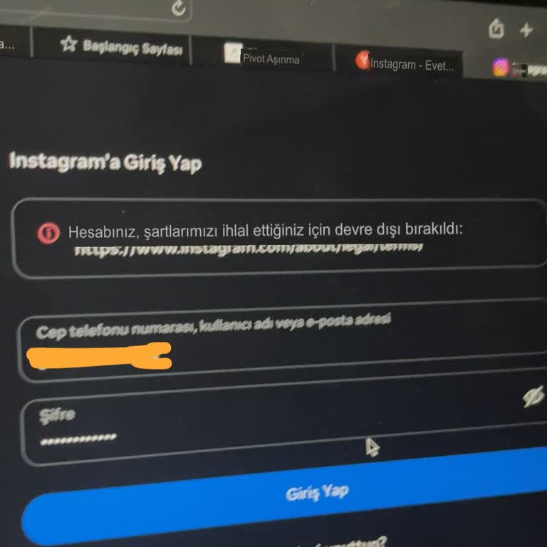 Instagram Hesabım Dondurulduktan Sonra Devre Dışı Bırakıldı Ve İtiraz Seçeneği Yok