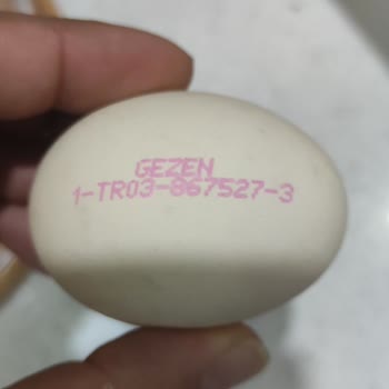Çok Gezenti Yumurta Migros’ta Bozulmuş Yumurta Satışı Ve Hijyen Kontrolü Talebi