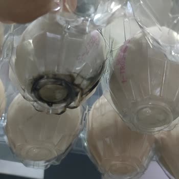 Çok Gezenti Yumurta Migros’ta Bozulmuş Yumurta Satışı Ve Hijyen Kontrolü Talebi