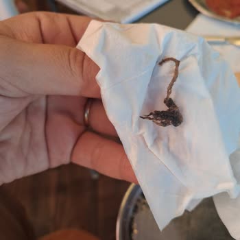 Köfte İçinde Örümcek Bulunması, Hijyen İhlali Ve Özür Eksikliği