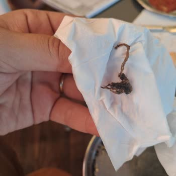 Köfte İçinde Örümcek Bulunması, Hijyen İhlali Ve Özür Eksikliği