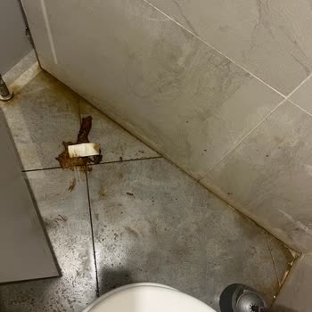 Çamlık Millet Bahçesi Tuvaletlerinde Hijyen İhmali Ve Acil Temizlik Gereksinimi