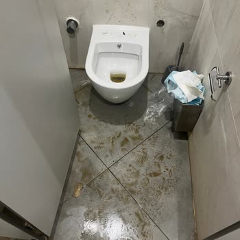 Çamlık Millet Bahçesi Tuvaletlerinde Hijyen İhmali Ve Acil Temizlik Gereksinimi