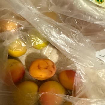 Siparişteki Çürük Ve Küflü Gıdalar Sağlık Riski Oluşturuyor