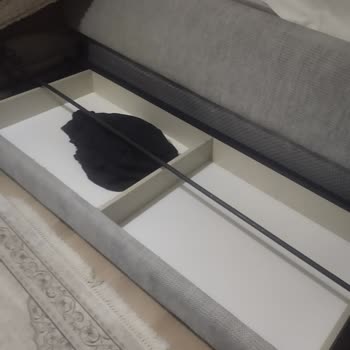 Açılır Koltuk Mekanizması Arızası Ve Acil Çözüm Talebi