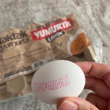 Taktak Yumurta Large Yazan Yumurtalar M Çıktı