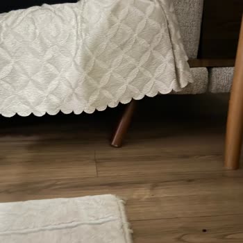 Koltuğun Ayak Ve İskelet Sorunları İçin Değişim Talebine Yanıtsızlık