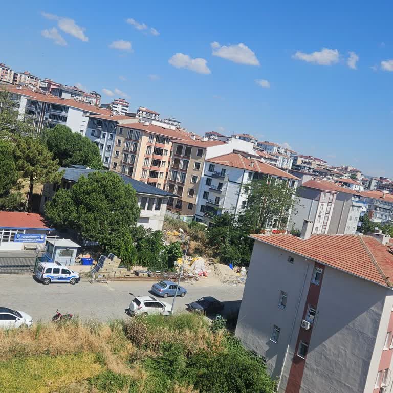 Altınova’da Kamu Alanlarındaki Aşırı Otlar İçin Acil Temizlik İsteği