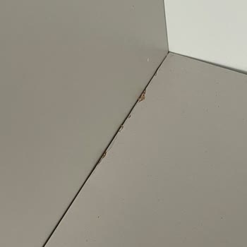 Defolu Çeyiz Seti Ve Konsolda Tam Değişim Talebi