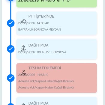 Dağıtıma Çıkarıldı Deyimiyle Evde Olmadığım İçin Kargo Şubeye Geri Getirildi