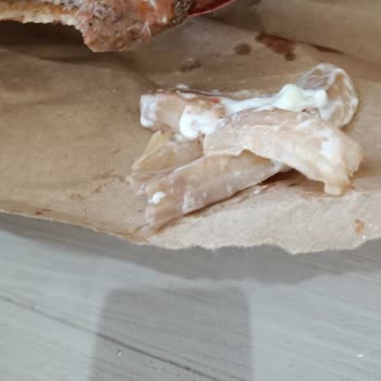 Boş Ve Çürük Whopper Sağlığımı Riske Attı, İade Ve Şube Uyarısı Talebi