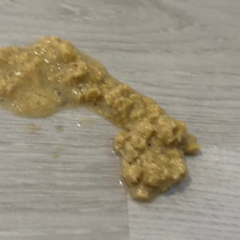 Kedi Mamasının İçerik Ve Boyut Uyuşmazlığı Nedeniyle Kusma Ve Firma Desteği Eksikliği