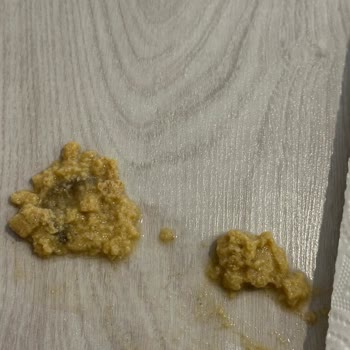 Kedi Mamasının İçerik Ve Boyut Uyuşmazlığı Nedeniyle Kusma Ve Firma Desteği Eksikliği