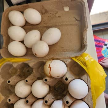 Kırık Yumurta Teslimatı Ve Müşteri Hizmetleri İlgisizliği