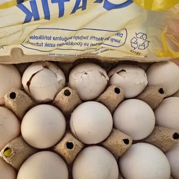 Kırık Yumurta Teslimatı Ve Müşteri Hizmetleri İlgisizliği