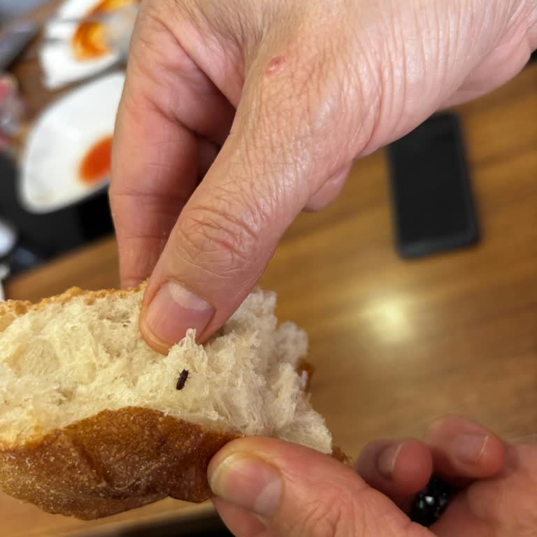 Açık Pide Ekmeğinde Böcek Bulundu, Hijyen Denetiminin Hemen Yapılması Gerekiyor