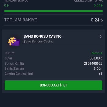 3 Yıllık 176 Bin TL Yatırımı İçin 500 TL Bonus Teklifi Ve Şikayet Silme Zorlaması