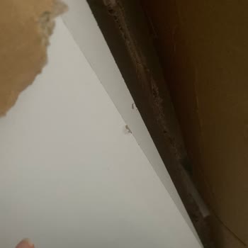 Hasarlı Ve Ağır Dolap İçin A101’den Destek Bekleniyor