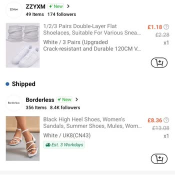 SHEIN Order Delivered to Wrong Address and Never Received