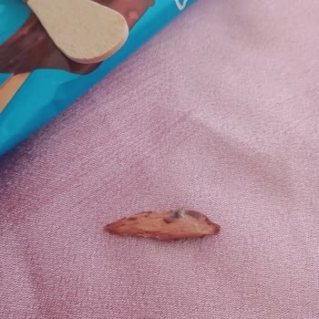 Migros Kids Stick Vanilya Dondurmasında Tahta Parçası: Gıda Güvenliği Endişesi