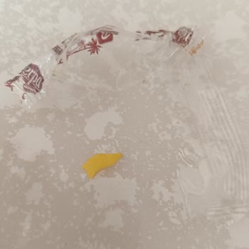 Erpa Lokum Ve Şekerleme Hurma Şekerinde Plastik Parça Bulundu