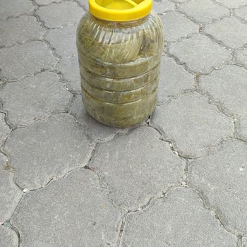 Eki aç