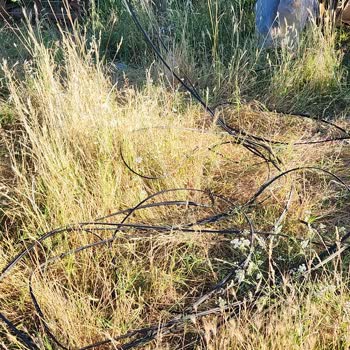 Gönen'de Türk Telekom İnternet Kesintisi Ve Kalıcı Çözüm Talebi