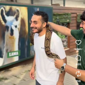 Yılan Temasının Kapalı Olduğu Günlerde Yanıltıcı Bilgi Ve Hayvan Refahı Endişesi