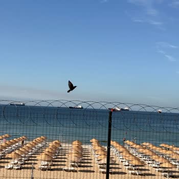 Florya Plajı'nda Kirli Deniz Ve Sağlık Sorunları Nedeniyle Ücret İadesi Talebi